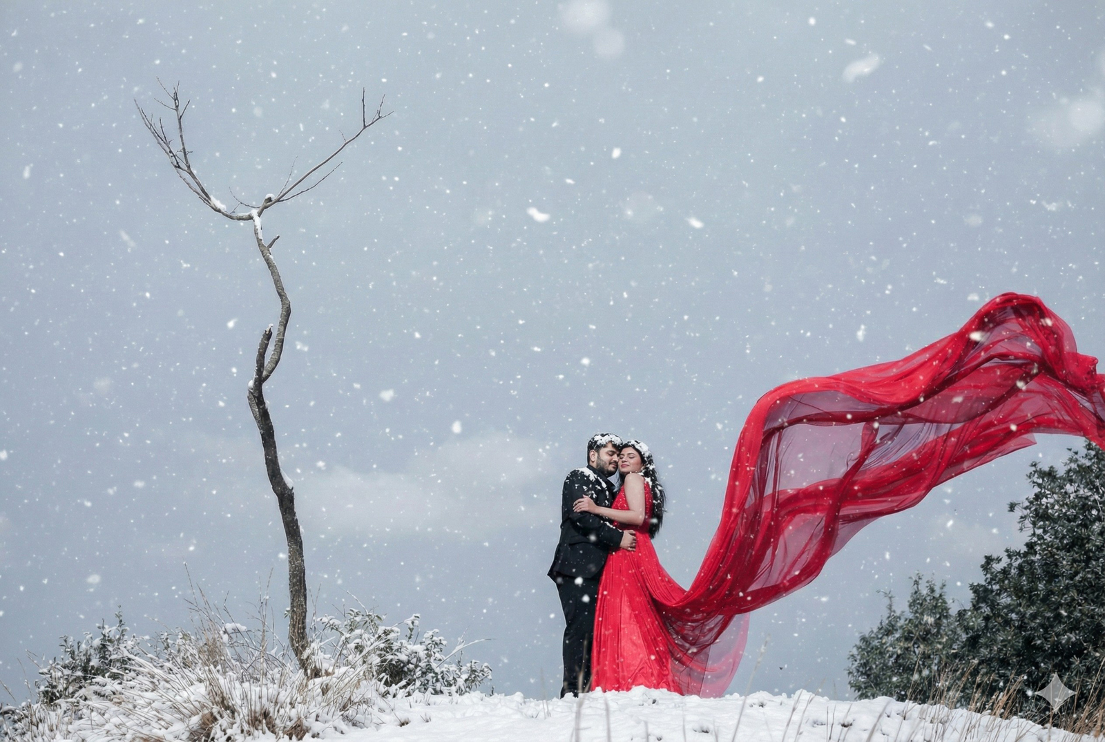 Wedding Story